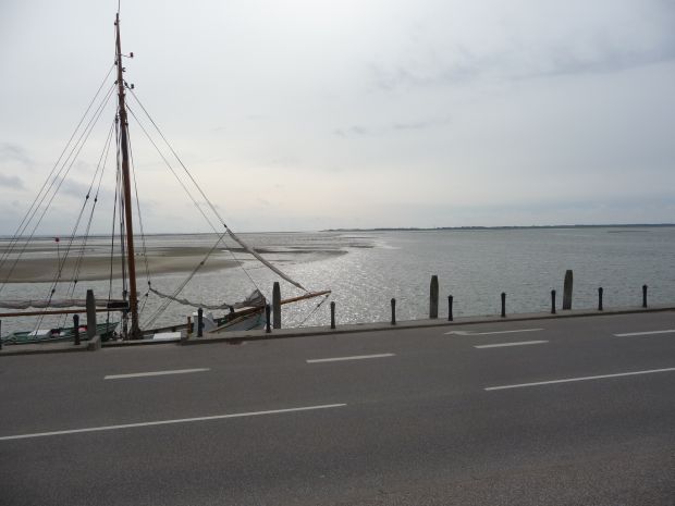 P1050334.JPG